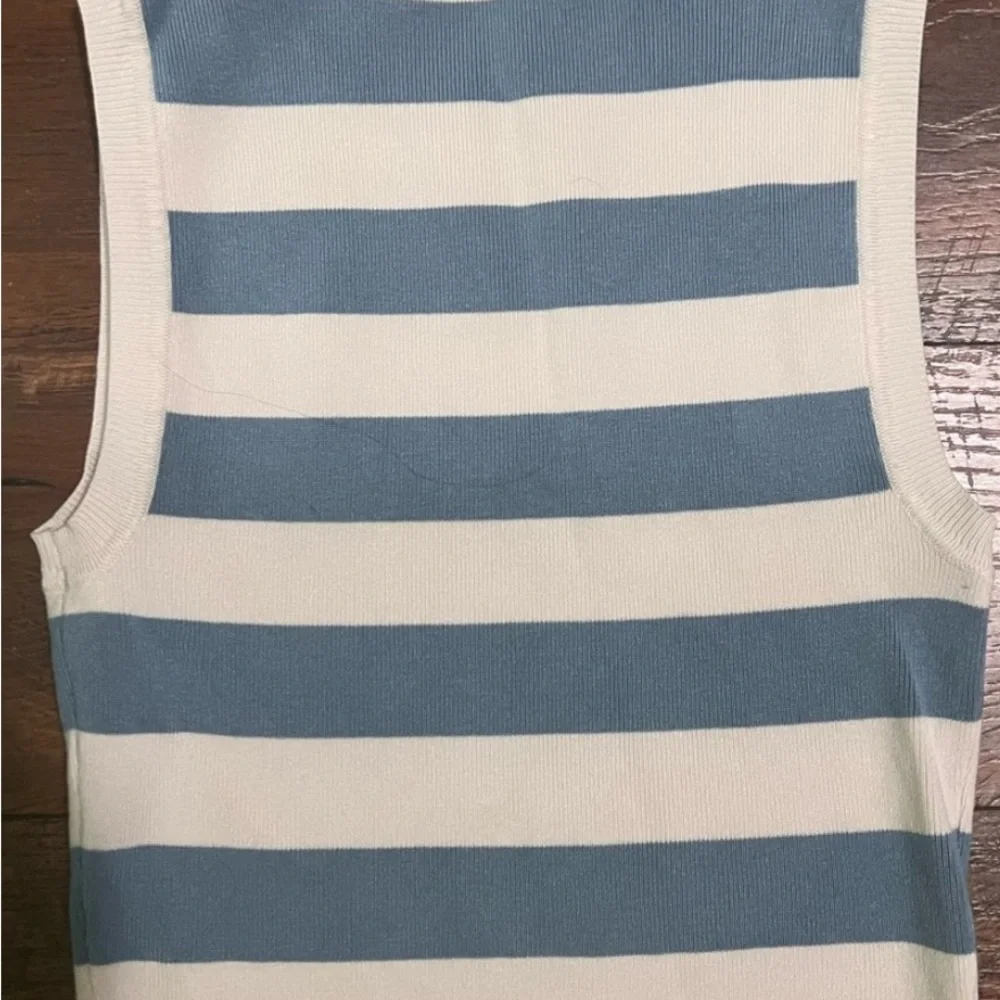Zara Striped Blue and Cream Knit Crop Tank Top